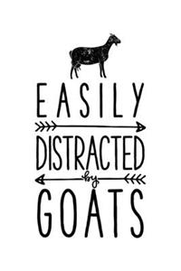 Easily Distracted by Goats