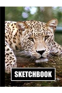 Sketchbook