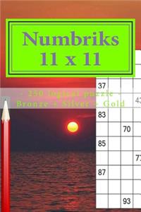 Numbriks 11 X 11 - 250 Logical Puzzle - Bronze + Silver + Gold