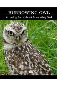 Amazing Facts about Burrowing Owl