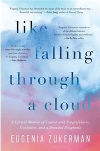 Like Falling Through a Cloud
