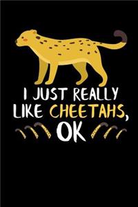 I Just Really Like Cheetahs, Ok