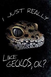I Just Really Like Geckos, Ok?
