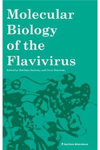 Molecular Biology of the Flavivirus
