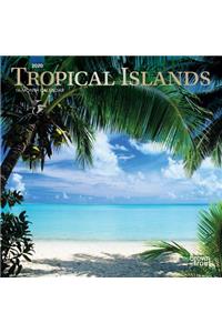 Tropical Islands 2020 Mini 7x7 Foil