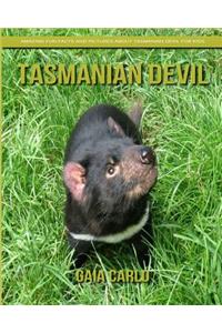 Tasmanian Devil