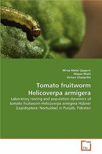 Tomato fruitworm Helicoverpa armigera