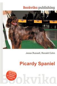 Picardy Spaniel