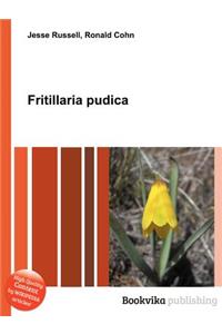 Fritillaria Pudica