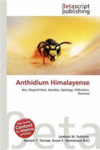 Anthidium Himalayense