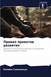 Провал проектов развития