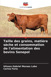 Taille des grains, matière sèche et consommation de l'alimentation des bovins Senepol