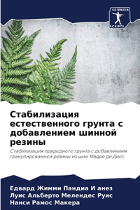 Стабилизация естественного грунта с доба