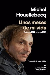 Unos Meses de Mi Vida