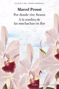 En busca del Tiempo perdido, vol. 1