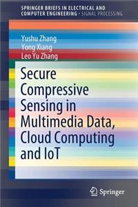 Secure Compressive Sensing in Multimedia Data, Cloud Computing and Iot