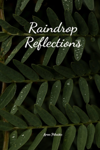 Raindrop Reflections
