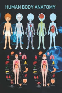 Human Body Anatomy