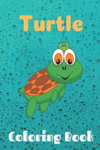 Turtle coloring book