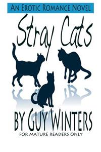 Stray Cats