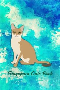 Singapura Cats Rock