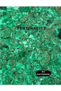My Notebook Pertinacity