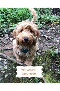Dog Walker Diary 2020