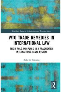 Wto Trade Remedies in International Law