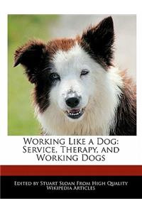 Working Like a Dog