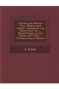 Ameisen Aus Sumatra, Java, Malacca Und Ceylon. Gesammelt Von Herrn Prof. Dr. V. Buttel-Reepen in Den Jahren 1911-1912. - Primary Source Edition