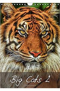 Big Cats2 2017