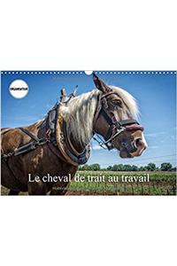 Le Cheval De Trait Au Travail 2017