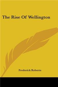 The Rise Of Wellington