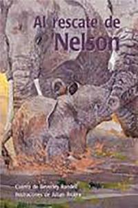 Al Rescate de Nelson (Rescuing Nelson)