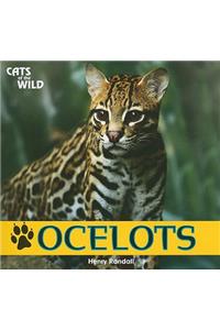 Ocelots