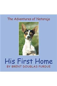 Adventures of Nataraja - His First Home