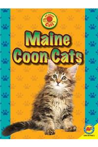 Maine Coon Cats