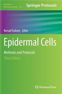 Epidermal Cells