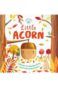 Little Acorn