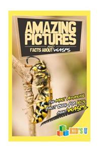 Amazing Pictures and Facts about Wasps: The Most Amazing Fact Book for Kids about Wasps