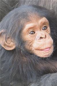 Say Hello to the Baby Chimpanzee Journal