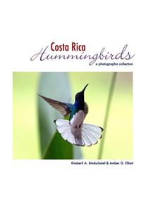 Costa Rica Hummingbirds