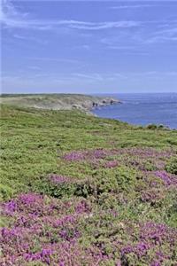 A Field of Heather Near the Water Brittany France Journal
