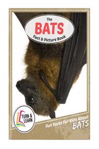 The Bat Fact and Picture Book: Fun Facts for Kids about Bats