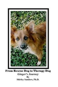 From Rescue Dog To Therapy Dog