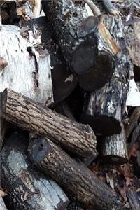 Journal Woodpile Fallen Over