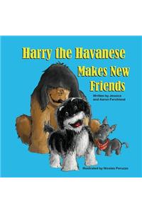 Harry the Havanese Makes New Friends