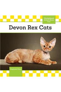 Devon Rex Cats