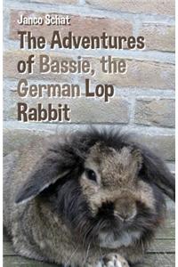 Adventures of Bassie, the German Lop Rabbit