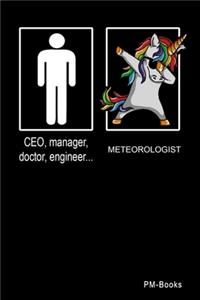 Meteorologist